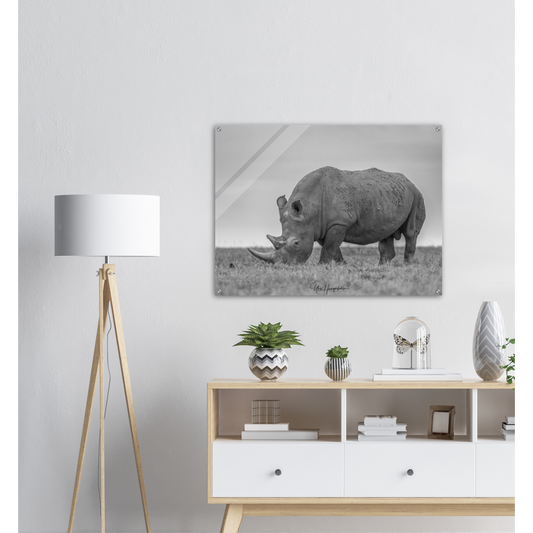 White Rhino Laikipia Kenya